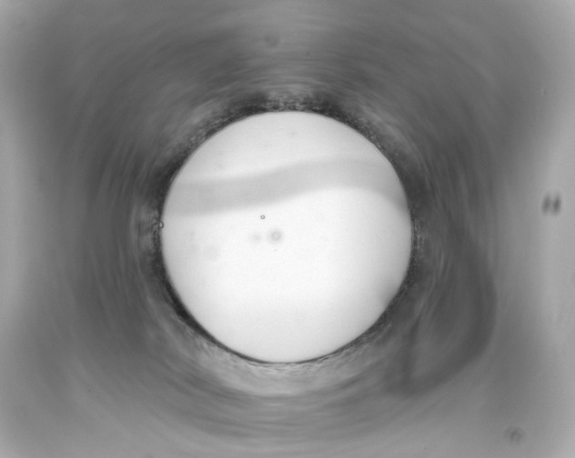 X0000093360038200711011216