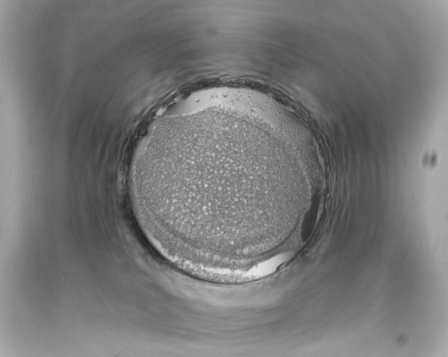 X0000093360039200711011216