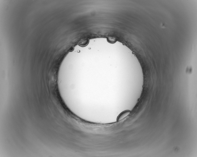 X0000093360040200711011216