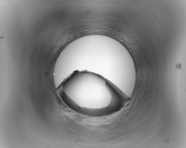 X0000093360041200711011216