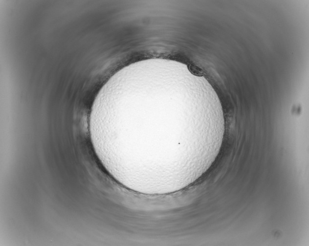 X0000093360042200711011216