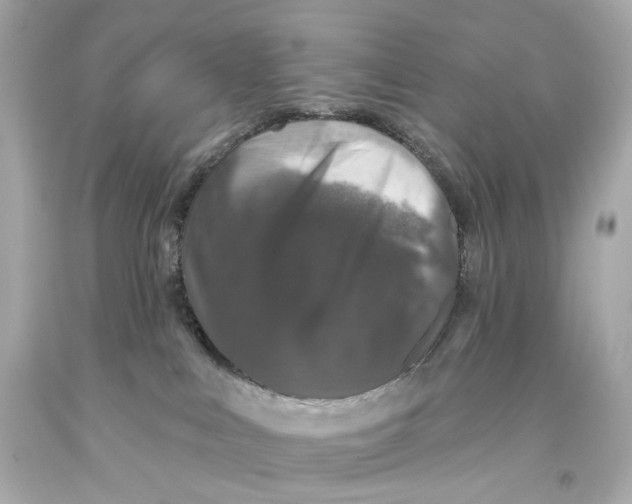 X0000093360043200711011216