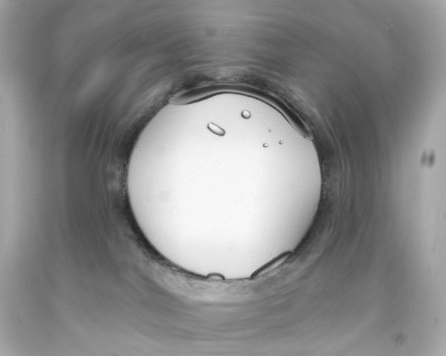 X0000093360044200711011216