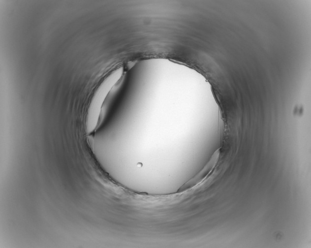 X0000093360045200711011216