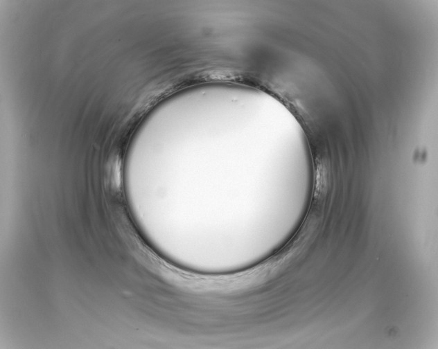 X0000093360046200711011216