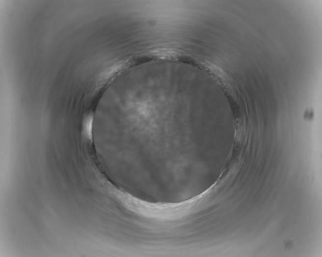 X0000093360047200711011216