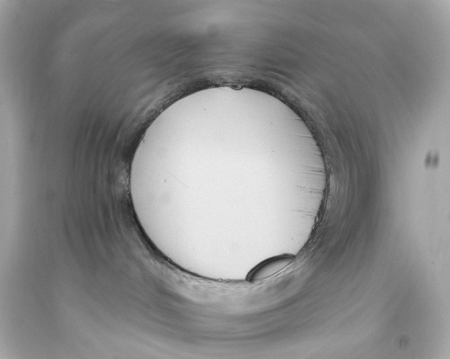 X0000093360048200711011216