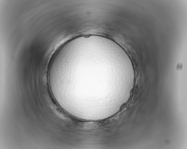 X0000093360050200711011215