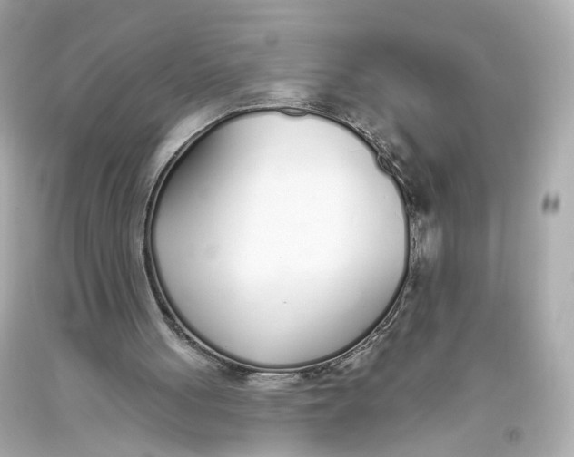 X0000093360051200711011215