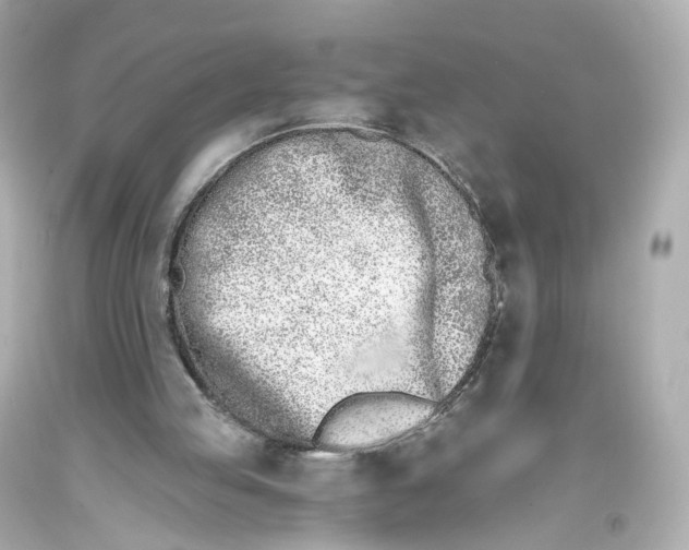 X0000093360053200711011215