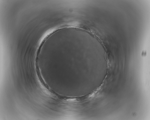 X0000093360054200711011215