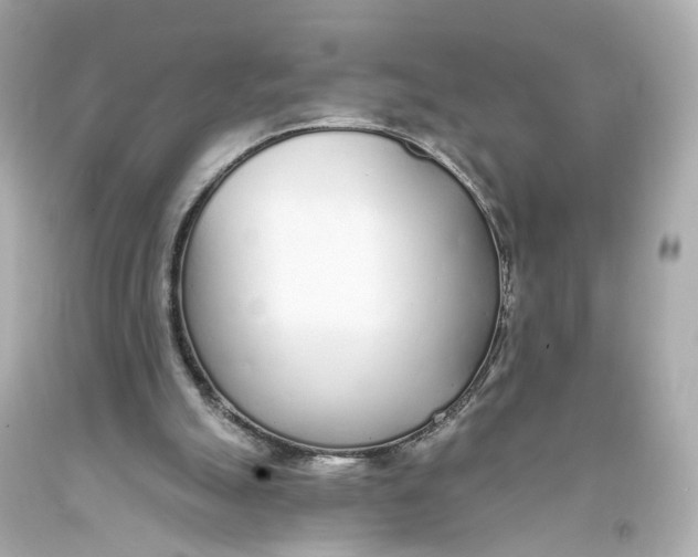 X0000093360055200711011215