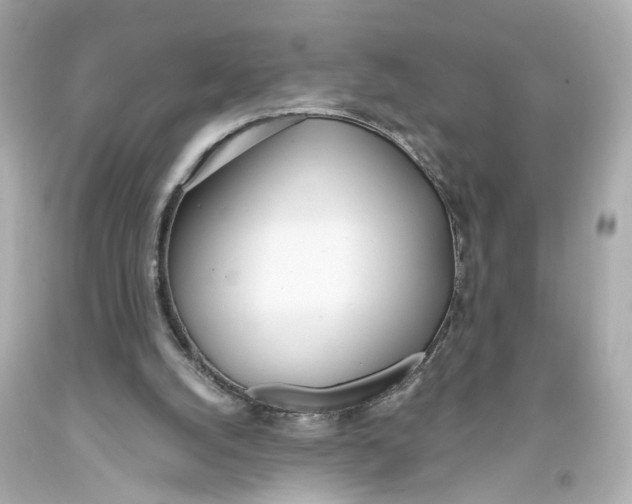 X0000093360056200711011215