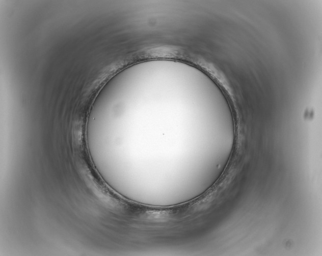 X0000093360057200711011215