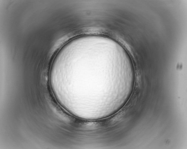 X0000093360059200711011215