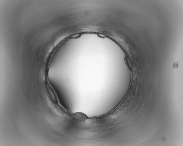 X0000093360060200711011215