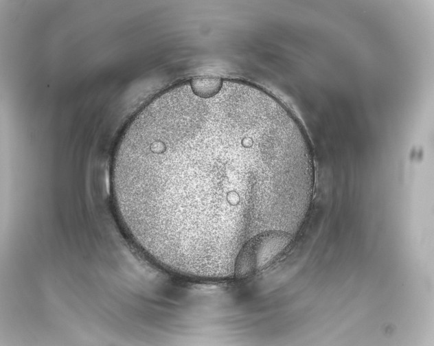 X0000093360061200711011215