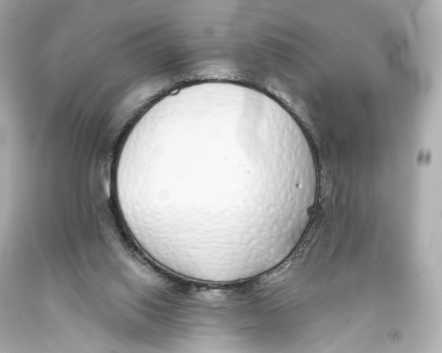 X0000093360062200711011215