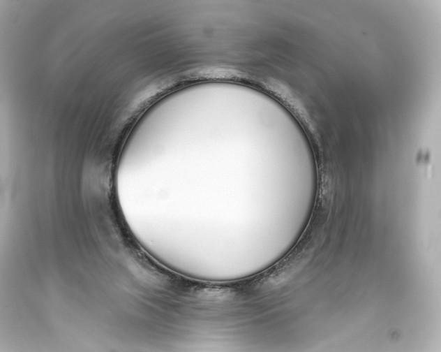 X0000093360063200711011215