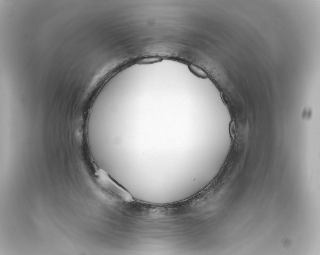 X0000093360064200711011215