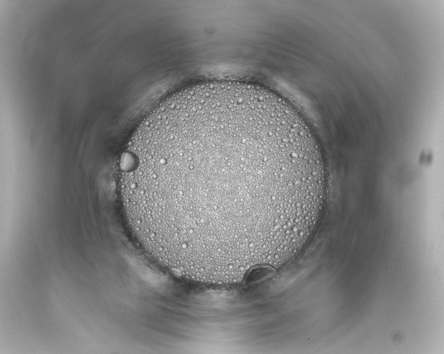 X0000093360065200711011216