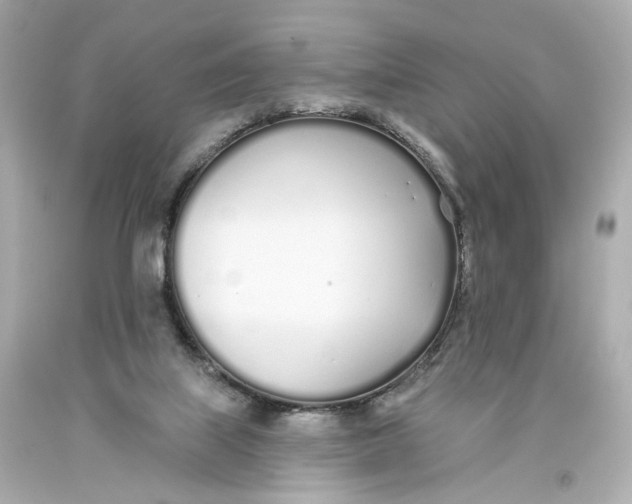 X0000093360067200711011216