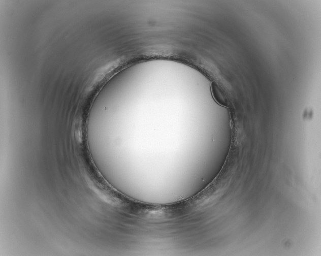 X0000093360068200711011216