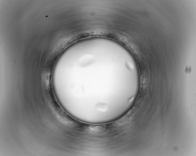 X0000093360070200711011216