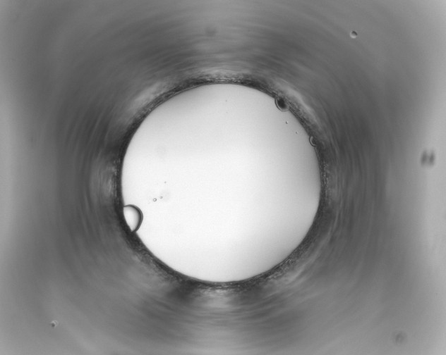 X0000093360071200711011216