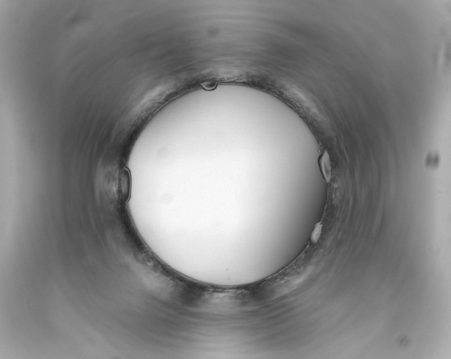 X0000093360072200711011216