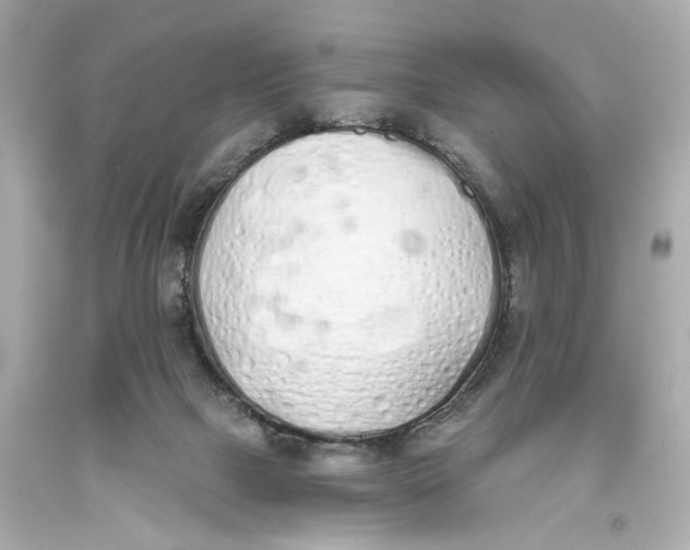 X0000093360073200711011216