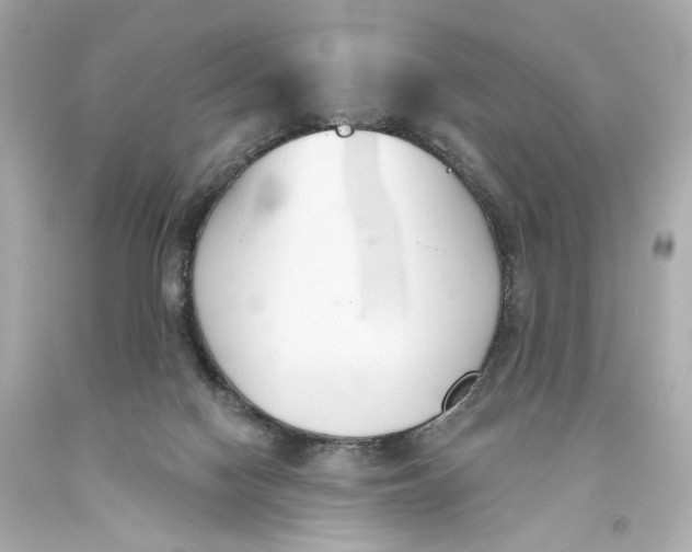 X0000093360074200711011216