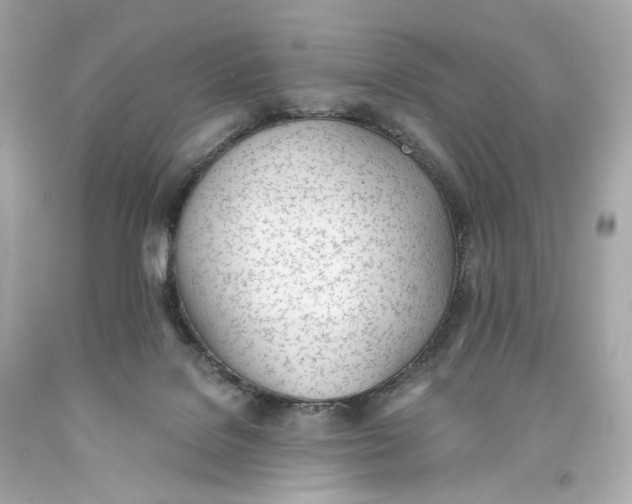 X0000093360076200711011216