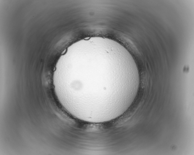 X0000093360077200711011216