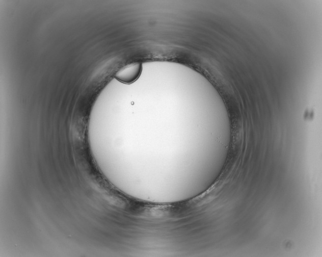 X0000093360078200711011216