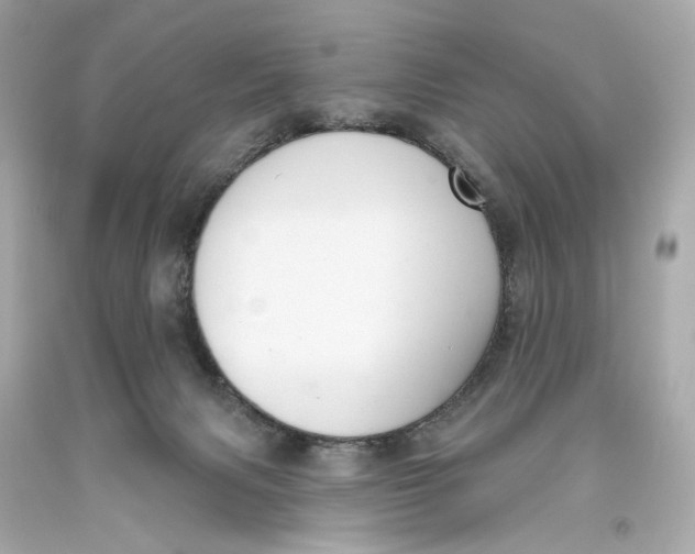 X0000093360079200711011216