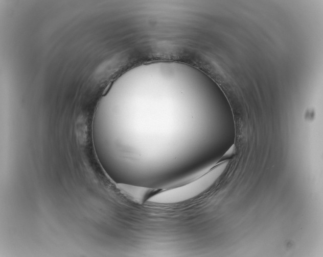 X0000093360080200711011216