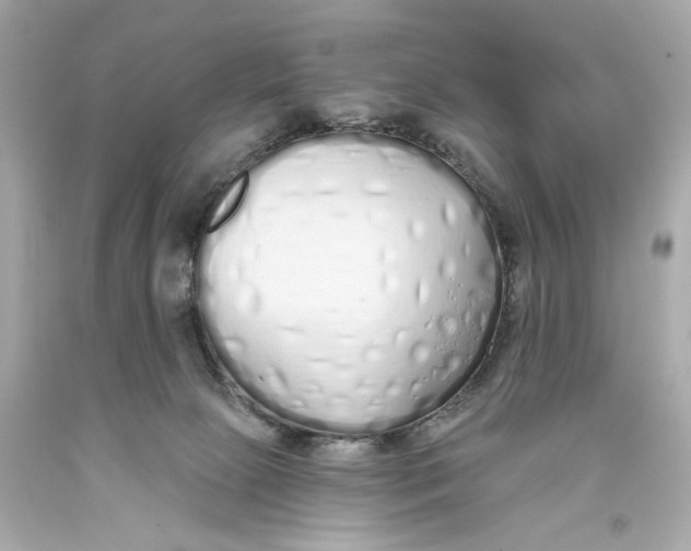 X0000093360081200711011216