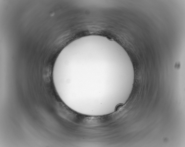 X0000093360082200711011216