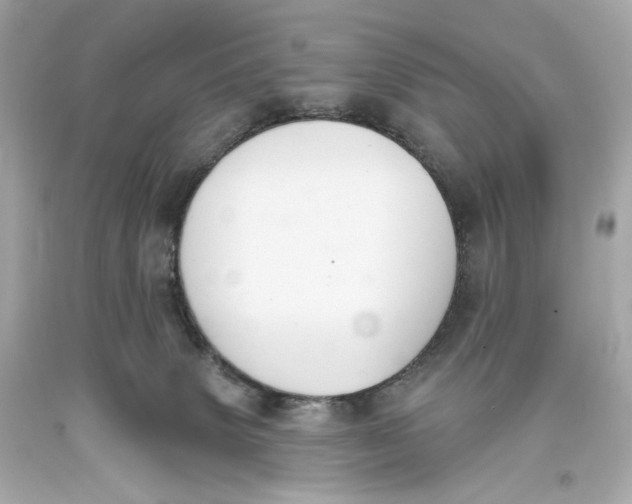 X0000093360083200711011216