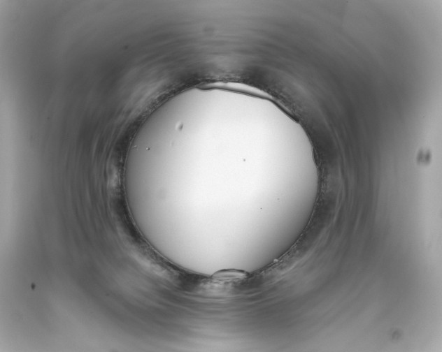 X0000093360084200711011216