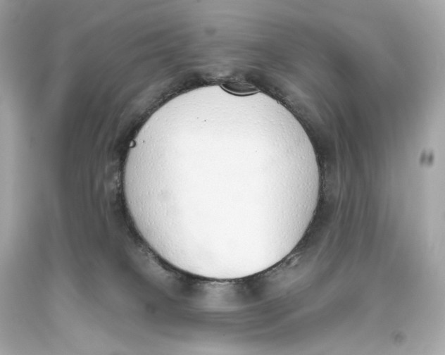 X0000093360085200711011216