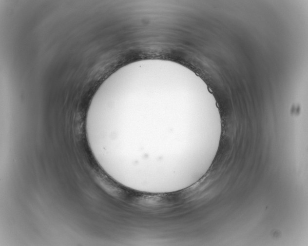 X0000093360086200711011216