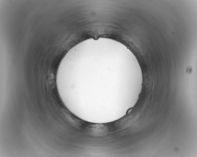 X0000093360087200711011216