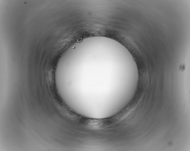 X0000093360088200711011216