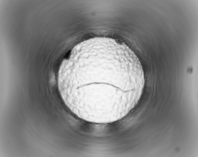 X0000093360089200711011216