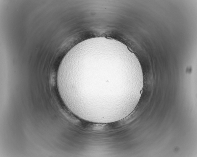 X0000093360090200711011216