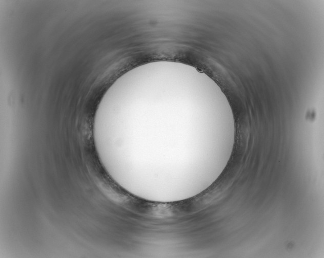 X0000093360091200711011216