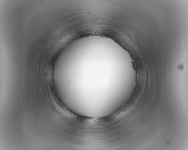 X0000093360092200711011216