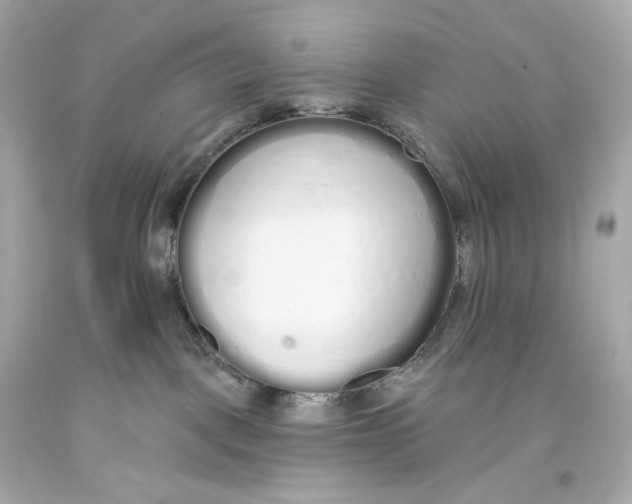 X0000093360093200711011216